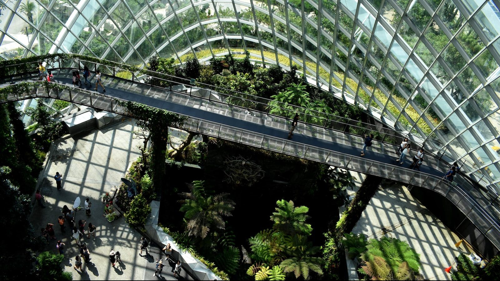 sustainable business practices like green architecture reimagine urban spaces to create indoor greenhouses
