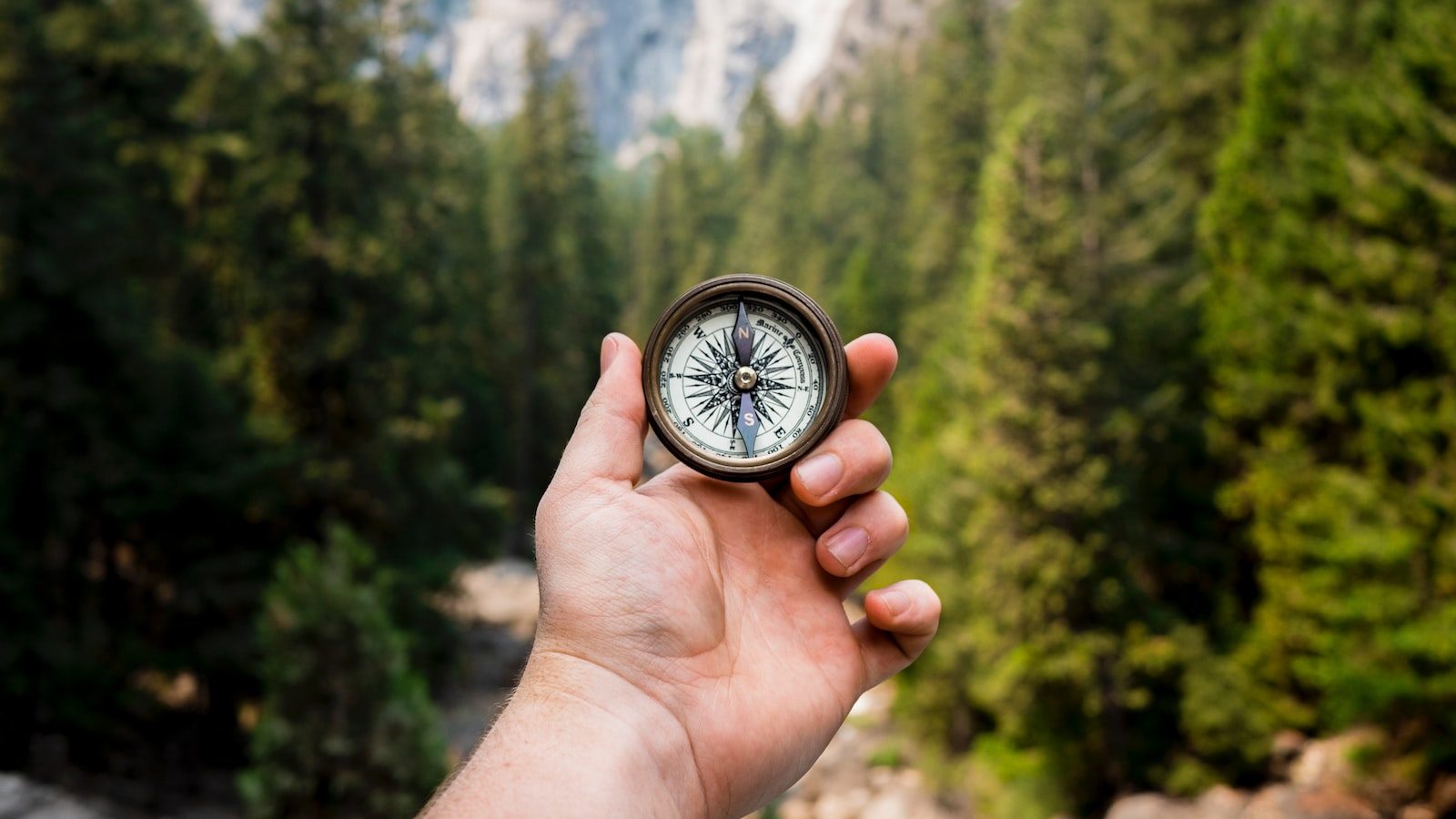 person holding compass facing towards green pine trees