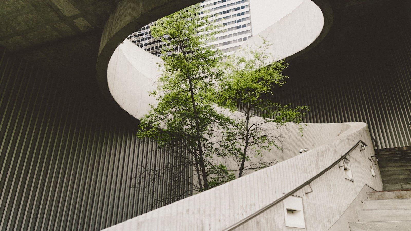 architectural photography of concrete stair