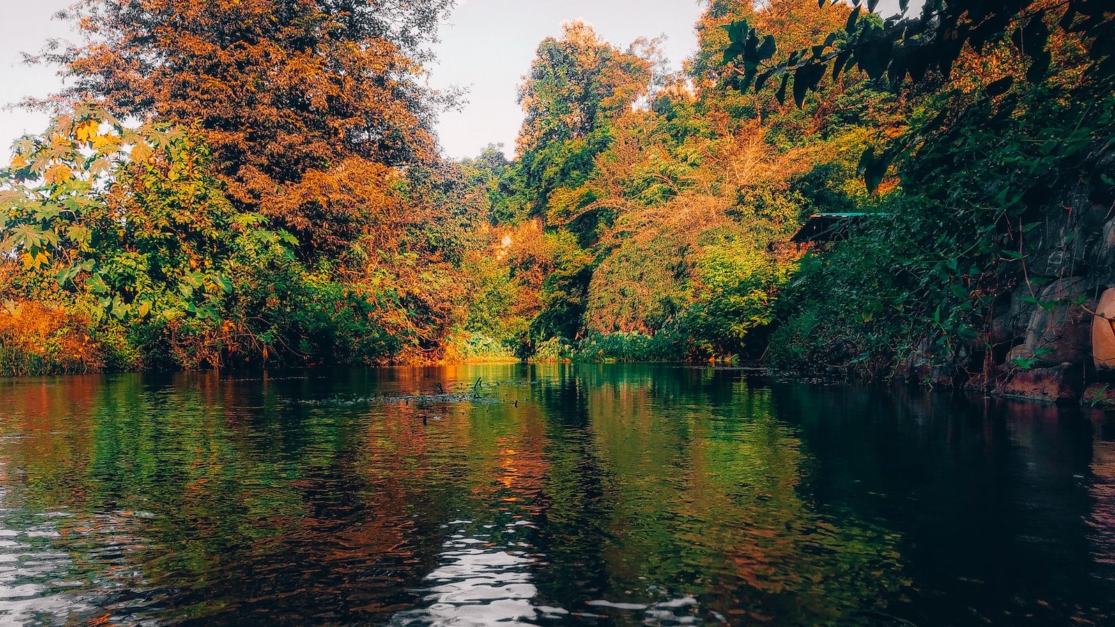 Climate Coaching Alliance: A global coaching community deepens awareness to support planetary health