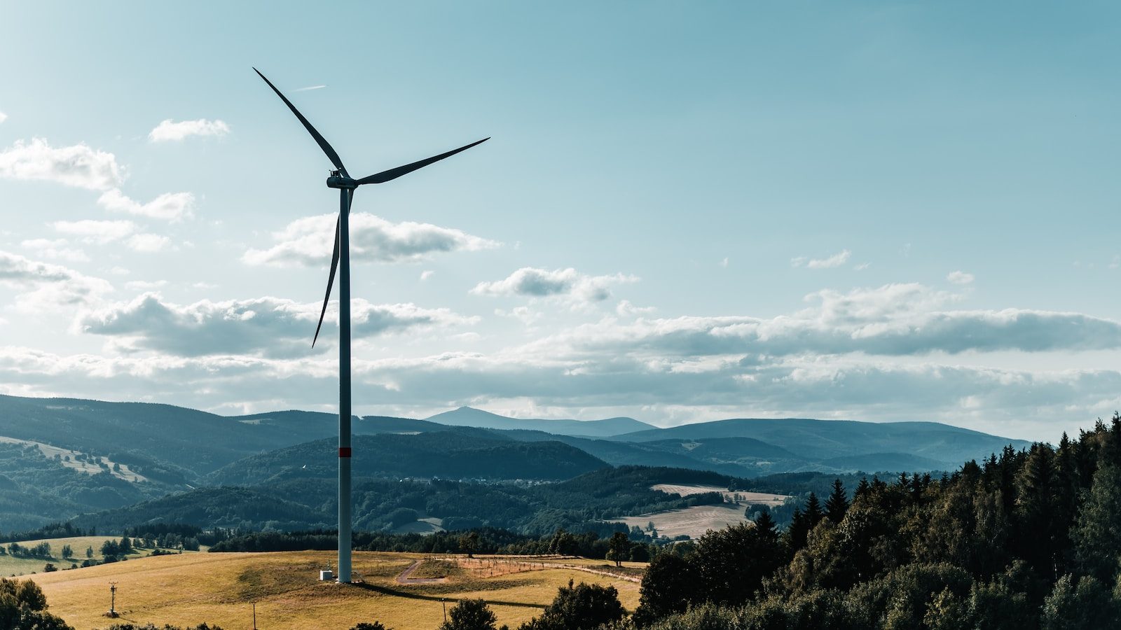 a wind turbine on top of a hill. In the new social contract business will need to give back to the planet