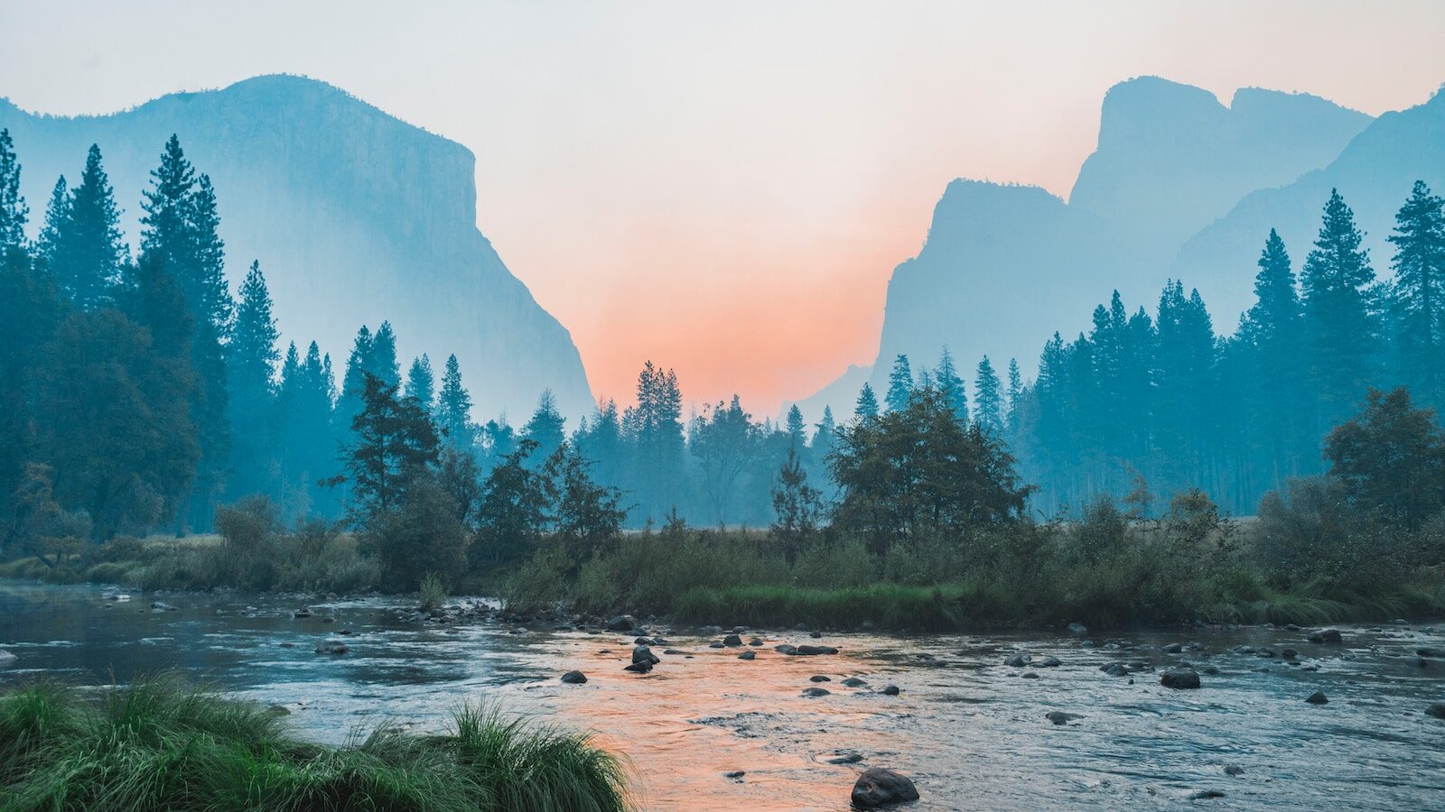 body of water surrounded by trees