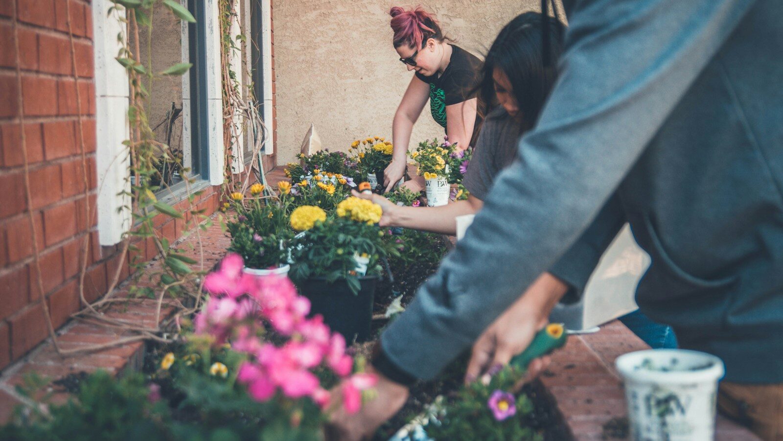 Image description: three people planting flowers. Studies link volunteerism to increased workplace well-being.