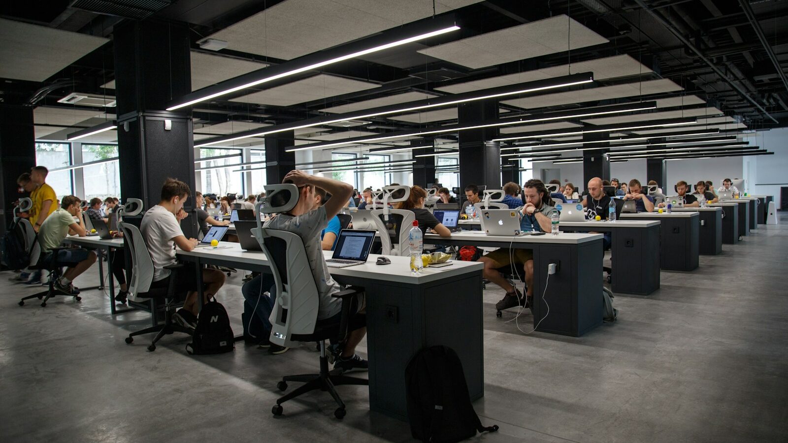 people doing office works